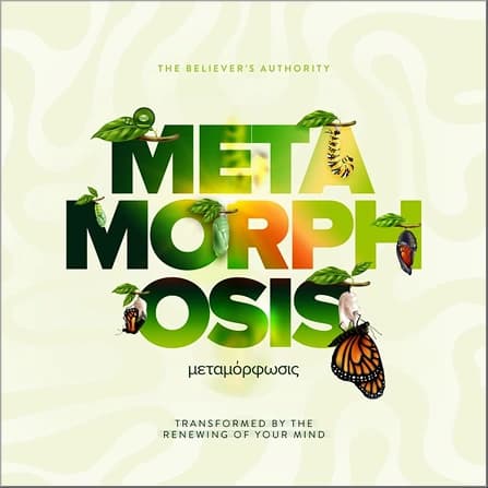 HE Metamorphosis 1.webp