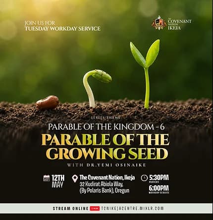 Parable of the Kingdom_Growing Seed 1.webp