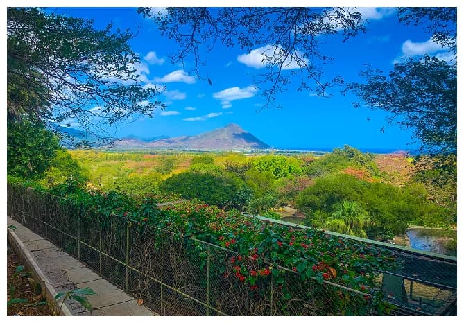 Rectangle 40.webp